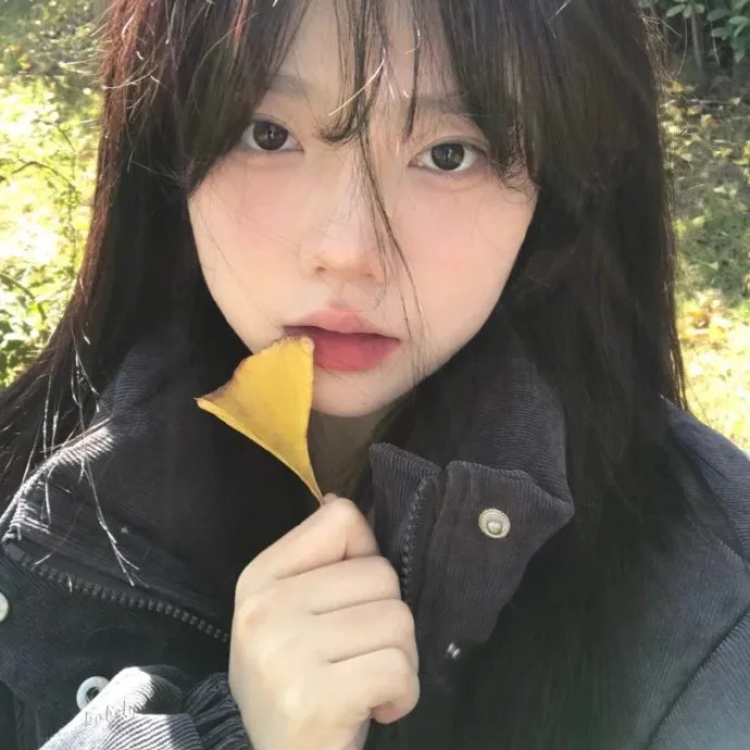 终结杉计划